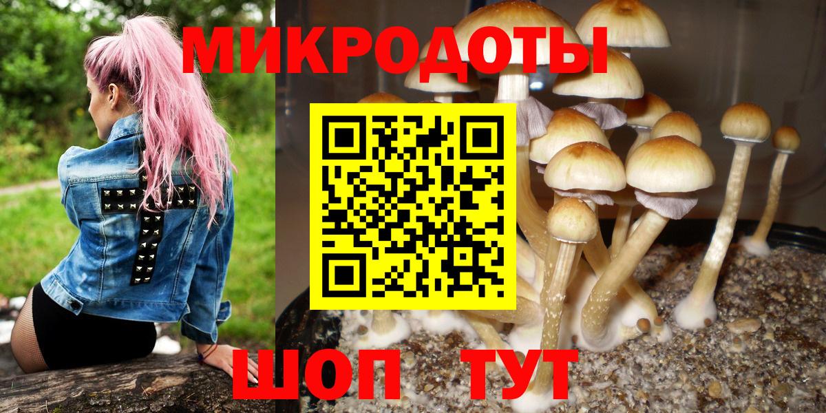 Галлюциногенные грибы ЛСД Надым