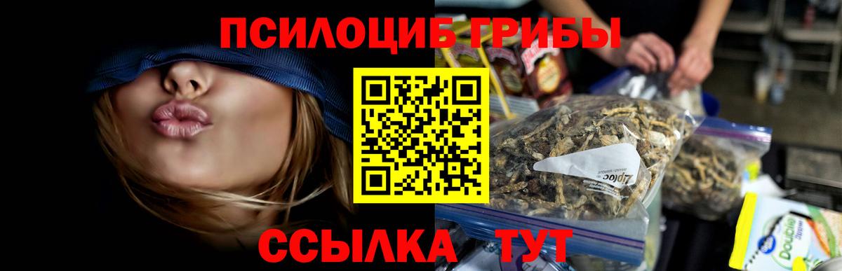 Псилоцибиновые грибы Psilocybe  Вход с VPN  закладки  Надым 